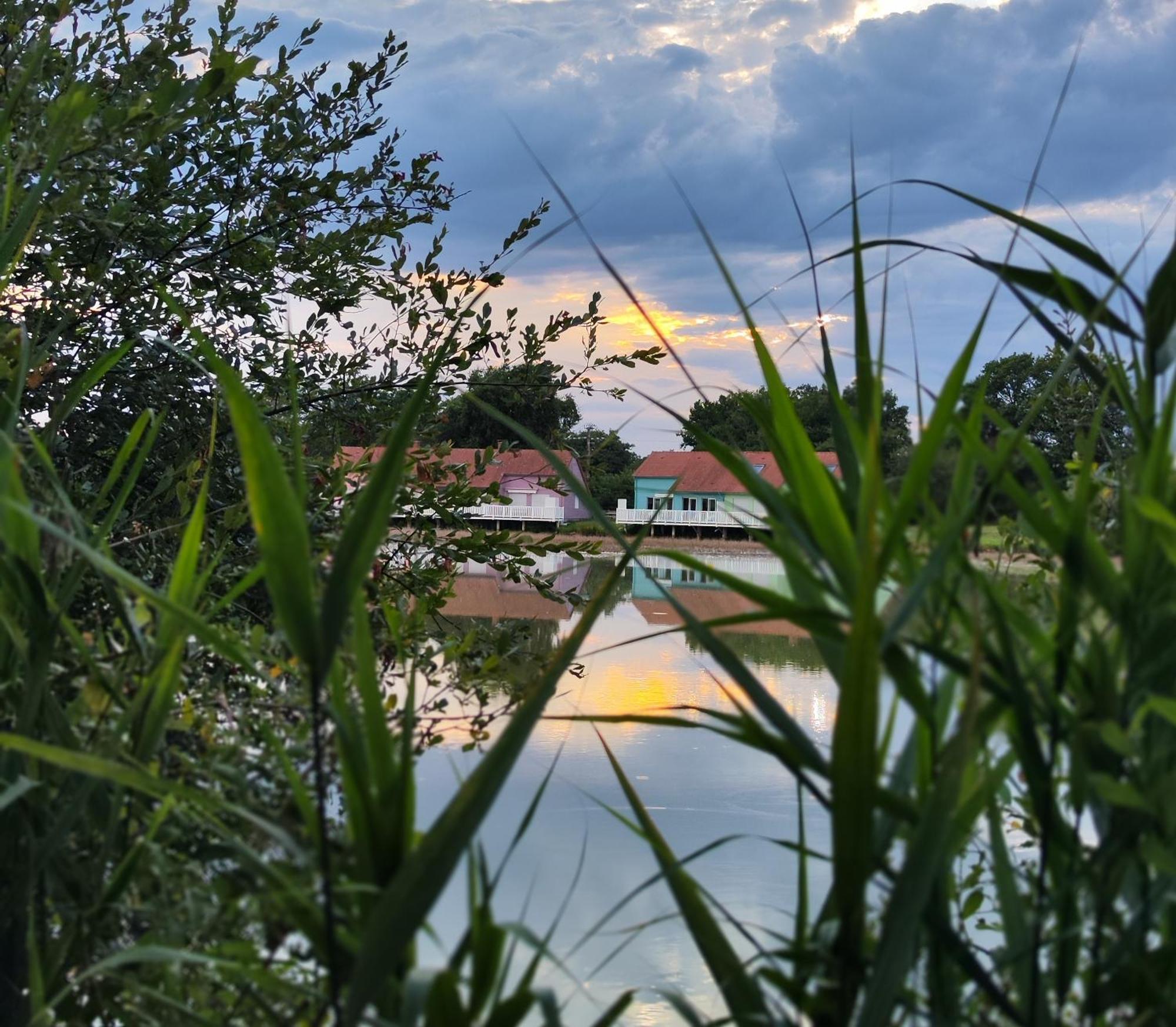 Domaine De La Roseliere • Nature • Brenne Rosnay  Εξωτερικό φωτογραφία